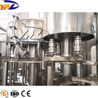 Ligne de production automatique d'eau en bouteille 2000BPH, machine de remplissage de bouteilles PET pour usine en démarrage.