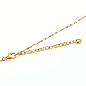 Chaîne d'extension en acier inoxydable inaltérable pour collier et bracelet, fermoirs mousquetons, accessoires de bijoux DIY, modèle F0907A - Product Image 2