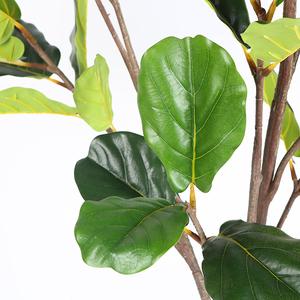 Buena calidad rama comprar árbol artificial ficus lyrata <span class=keywords><strong>bonsai</strong></span> al por mayor violín hoja de higo - Product Image 6