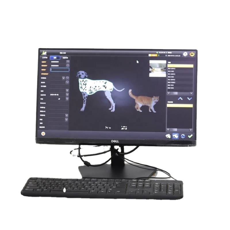 Vet Ultrasound Table 0 Degree Scope