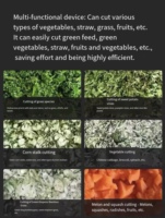 Broyeur Électrique Commercial en Acier Inoxydable pour Légumes et Herbes, Coupe-Aliments pour Volaille, Idéal pour Petites Exploitations Agricoles - Vente Directe Usine