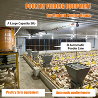 Équipement commercial d'élevage de poulets de chair et de poules pondeuses, ligne d'alimentation automatique à vis sans fin, filtre à eau, ligne d'abreuvement à pipettes, système d'alimentation complet