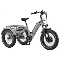 Trike électrique 48V 250W Tricycle électrique 3 roues Cargo Bike pour adulte