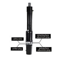 Force de levage TG20-485 400KG 485mm course 300W/800W actionneur de revêtement hydraulique de haute qualité actionneur linéaire robuste DC 12/24V