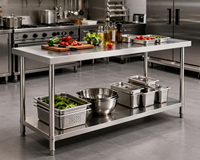 Table de travail commerciale à double niveau en acier inoxydable, finition brossée mate, avec étagère inférieure, pieds réglables, capacité de charge 300 kg/m, pour cuisine