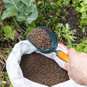 <span class=keywords><strong>Engrais</strong></span> organique granulé à base <span class=keywords><strong>de</strong></span> <span class=keywords><strong>fumier</strong></span> <span class=keywords><strong>de</strong></span> mouton fermenté, libération lente des nutriments, inodore, pour les fleurs en pot, les pelouses, les bonsaïs, les plantes vertes - Product Image 2