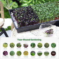 Plateaux de Propagation Hydroponique en PE Non Perforé pour Micro-légumes, Auto-arrosants, pour Jardinage Commercial et Domestique, avec Contrôle de l'Humidité