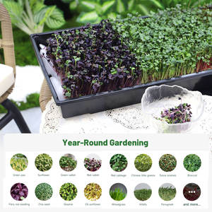 商業用家庭園芸自動給水PEプラスチック製無孔水耕栽培マイクログリーン育苗トレイ湿度調整機能付き - Product Image 4