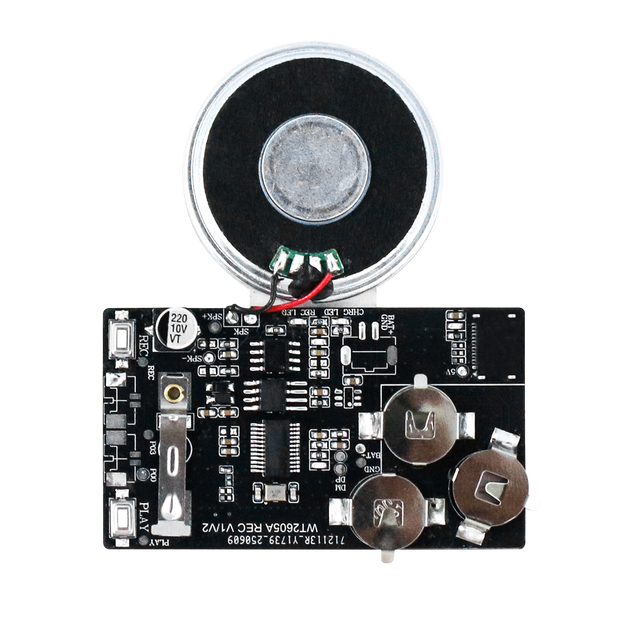 Programmable Sound Module Simple and Convenient Voice Change Recordable Sound Module for Music Box