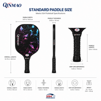 Set Raket Pickleball Fiberglass Grosir Pabrik dengan 2 Raket 4 Bola Tas Jinjing OEM ODM MOQ 1