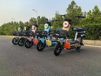 Venta Directa de Fábrica, Bicicleta Eléctrica Urbana de 48V 20AH 400W con Frenos de Tambor 110, Certificación CE, Xingjian