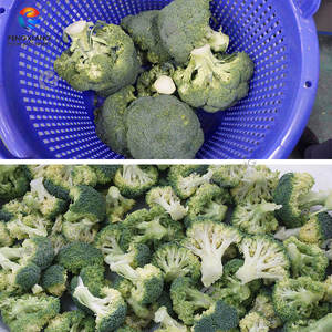 FC-XL-I FENGXIANG Máquina Cortadora de Brocoli, Procesamiento Continuo de 750-800 Unidades por Hora, Ahorro de Energía, Bajo Consumo - Product Image 5