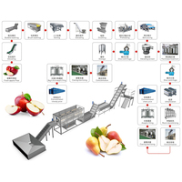 Fruitgroente Juicer Productielijn Appelsap Verwerkingsmachines/Fruit Juicer Productielijn Verwerkingsmachine