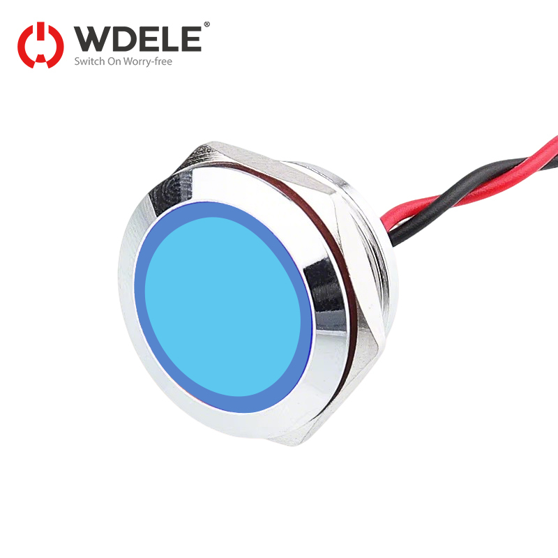 WD19mm Electrical Indicator Light Waterproof Signal Lamp With Wire 3V 5V 6V 12V 24V 220v Red Yellow Blue Green White