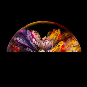 Proyector Láser RGB para Publicidad, Proyector de Imágenes y Palabras, Pantalla de Gasa, Proyector de Animación Espacial, Pájaros y Flores - Product Image 6