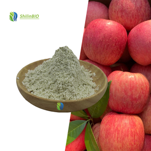 Poudre <span class=keywords><strong>de</strong></span> fibres <span class=keywords><strong>de</strong></span> <span class=keywords><strong>pomme</strong></span> <span class=keywords><strong>de</strong></span> qualité alimentaire SLBIO, extrait d'herbes - Product Image 2