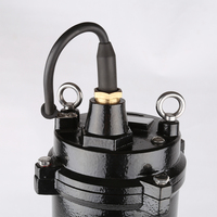 Pompe électrique eau eaux usées ascenseur pompe submersible avec cutter