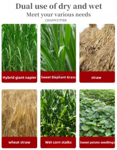 Động cơ điện hay cắt chaff cắt kết hợp bền Trung Quốc chaff cắt - Product Image 5