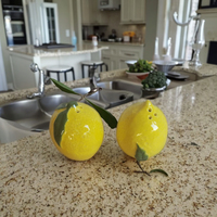 Salière et poivrière en forme de citron en céramique Objets décoratifs pour cuisine ou table