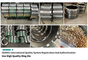 Pièces détachées pour <span class=keywords><strong>machine</strong></span> à granulés certifiées CE par des fournisseurs chinois, matrice annulaire en acier inoxydable - Product Image 6