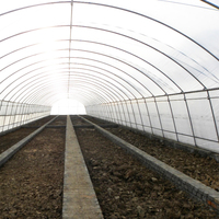 Serre en plastique à tunnel à simple portée pour la culture des fraises, agriculture
