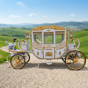 Calèche royale électrique personnalisable pour événements spéciaux, nouveau modèle, calèche de mariage antique tirée par des chevaux - Product Image 1