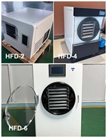 Machine de lyophilisation sous vide commerciale de petite taille Candy Airwood pour la transformation des aliments, des fruits, des légumes et de la viande