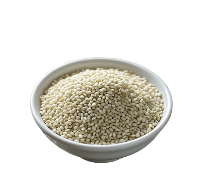 Hot Raw Sesame Seeds 100% Natural New Crop White Sesame Seeds