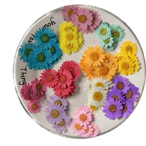 12 pz/confezione Margherite Daisy per Scrapbooking, Resina Epossidica, Bling-bling, <span class=keywords><strong>Fiore</strong></span> Naturale Pressato Ecologico - Product Image 1