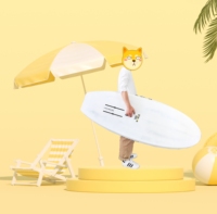 Planche de surf en fibre de verre Kinma, planche d'hydrofoil