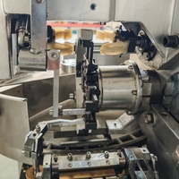 Machine d'emballage de viande hachée en spirale à double torsion avec servomoteur haute vitesse pour emballages torsadés