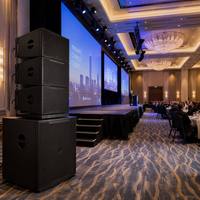 PADOCKS18Dual Haut-parleur Line Array 10 pouces - Audio de scène actif/passif en option