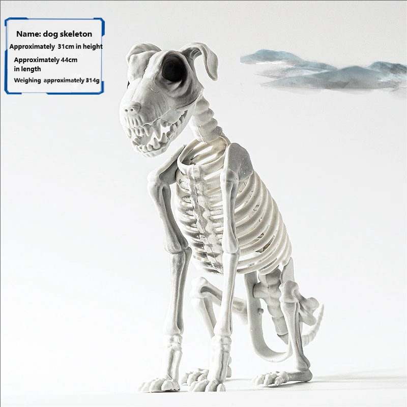 squelette de chien