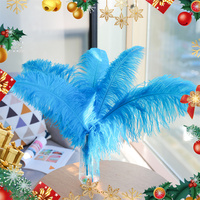 50-55cm Tueq plumes d'autruche Drabs décoration pour Costumes de carnaval décoration de Table teint couleur plumes d'autruche pour mariage