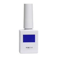 Vernis à ongles professionnels Cat Eye Gel Light Color Cat's Eye Logo Gel Polish Clear Nail Moonlight Cat Eyes Gel Polish Set