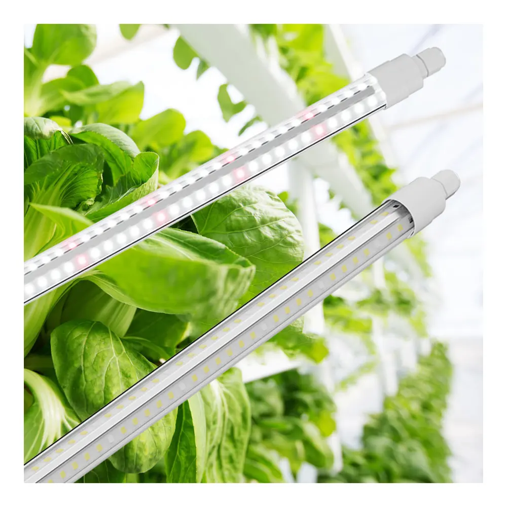 Invernadero de granja vertical crecimiento de plantas vegetales espectro completo personalizado IP65 impermeable T8 LED crece la luz