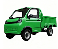 Mini camion électrique homologué EEC COC DOT, 3500W, capacité de charge de 1000 kg, véhicule à énergie nouvelle, pick-up électrique, véhicule entièrement fermé à 4 roues