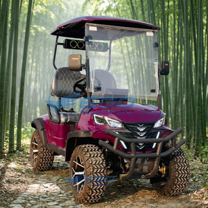 Voiture de golf électrique tout-terrain 2 places pour club de golf, certifiée CE, nouvelle exportation, prix usine - Product Image 4