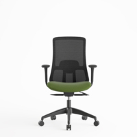 La Chine Executive Boss préside la chaise de bureau ergonomique de maille confortable de pivot MidBack avec le soutien lombaire
