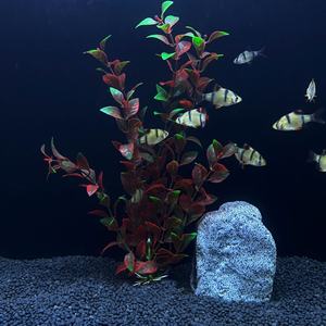 Accessoires pour <span class=keywords><strong>aquarium</strong></span> Plante artificielle <span class=keywords><strong>en</strong></span> plastique de bonne qualité Grande plante pour <span class=keywords><strong>aquarium</strong></span> - Product Image 5
