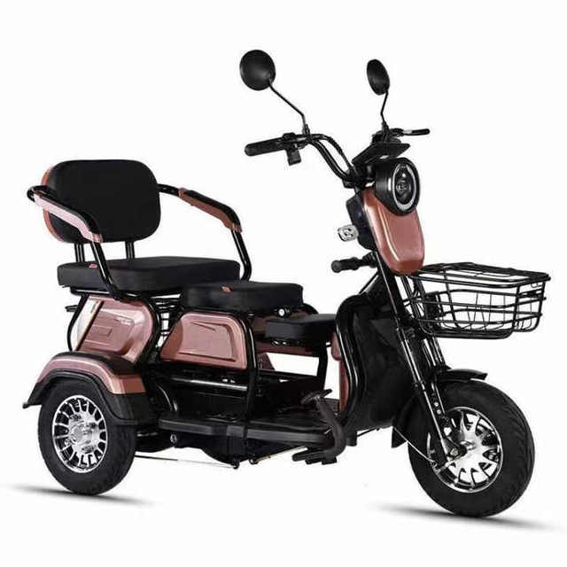 Factory Direct Sales New Stylish Customizable 3-Wheel Steel Electric Trike for Families Passengers