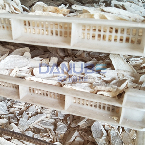 Horno de secado de yam con bomba de calor y características únicas, máquina de limpieza y corte de yam para secado en cámara - Product Image 5