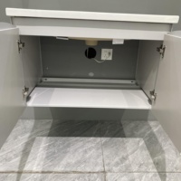 Set Perabot Kamar Mandi Mewah Terlaris, Kabinet Vanity Kamar Mandi Satu Wastafel dengan Cermin Lampu dan Bak Keramik