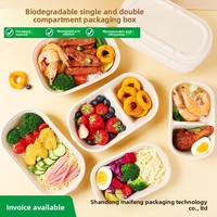 Boîte à lunch biodégradable jetable en pulpe, compatible micro-ondes, pratique, simple, pour repas minceur, fitness, restauration rapide, à emporter, type bento