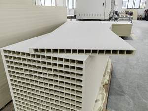 <span class=keywords><strong>SunnyTech</strong></span> Panneaux de porte WPC 55 mm très demandés, profilés de 1000 mm de large et panneaux de porte grand format - Product Image 3