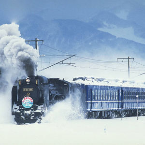 Economische en snelle treincontainer deur-tot-deur levering voor spoorwegvervoeragenten in Europa - Product Image 1