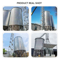 Silo à grains en acier galvanisé à structure scellée, empêchant la prolifération des insectes et la germination des grains, pour l'élevage de volailles et le stockage d'aliments.
