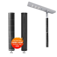 Panneau solaire tubulaire N-Type IBC 100W le plus durable pour la surveillance par caméra de vidéosurveillance et les poteaux d'éclairage solaire