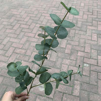 A-082 Veelgebruikte Eucalyptus tak plant bloemstuk enkele kunstmatige eucalyptus bladeren tak steel