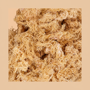 High Quality Eucheuma Cottonii Irish Sea <b>Moss</b> from Vietnam with OEM Packaging Available - Product Image 1